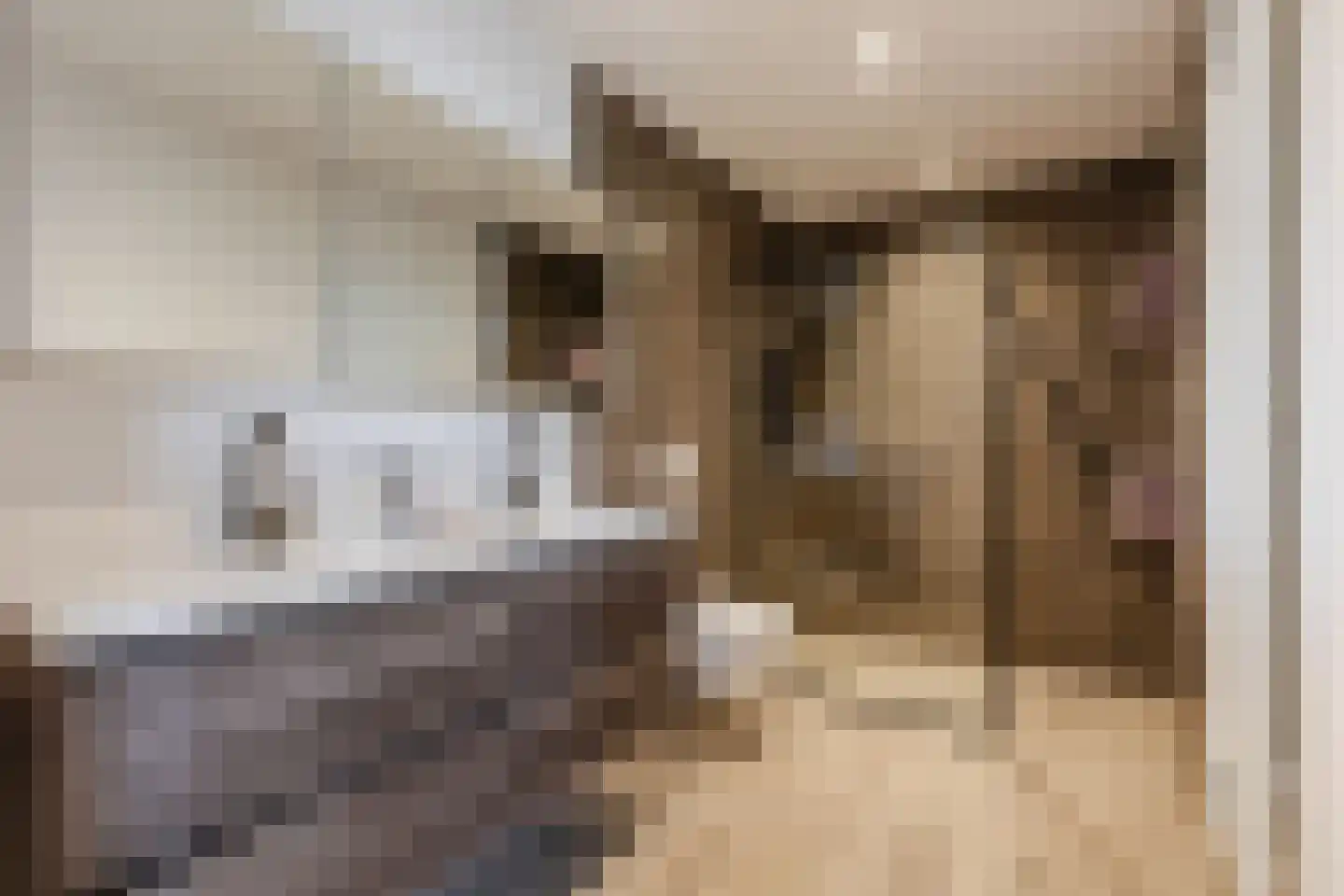 Kapelaan Slotsstraat 80 Grubbenvorst thumbnail 28