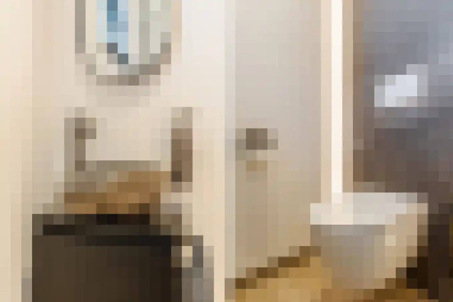 Kapelaan Slotsstraat 80 Grubbenvorst thumbnail 37