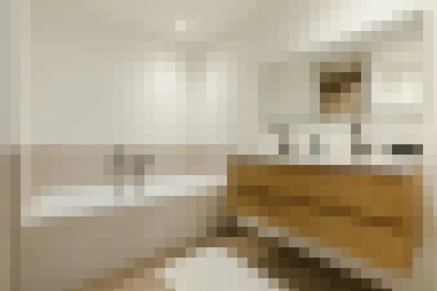 Kapelaan Slotsstraat 80 Grubbenvorst thumbnail 46