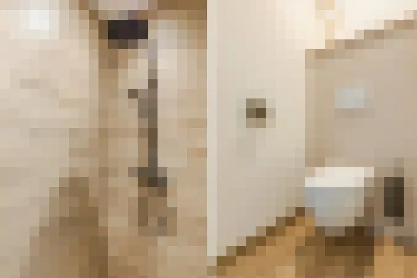 Kapelaan Slotsstraat 80 Grubbenvorst thumbnail 52