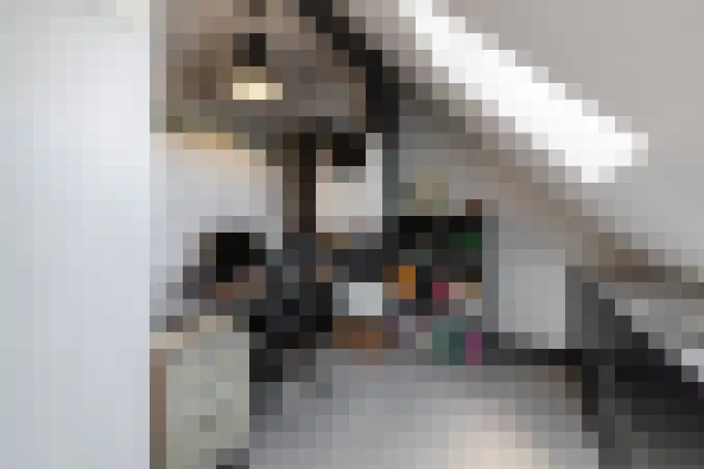 Kapelaan Slotsstraat 80 Grubbenvorst thumbnail 56