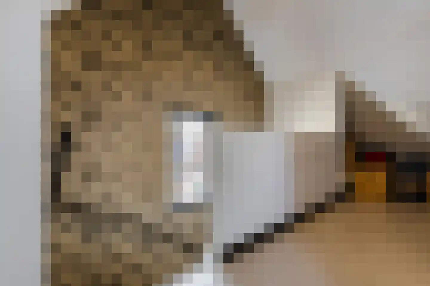 Kapelaan Slotsstraat 80 Grubbenvorst thumbnail 57