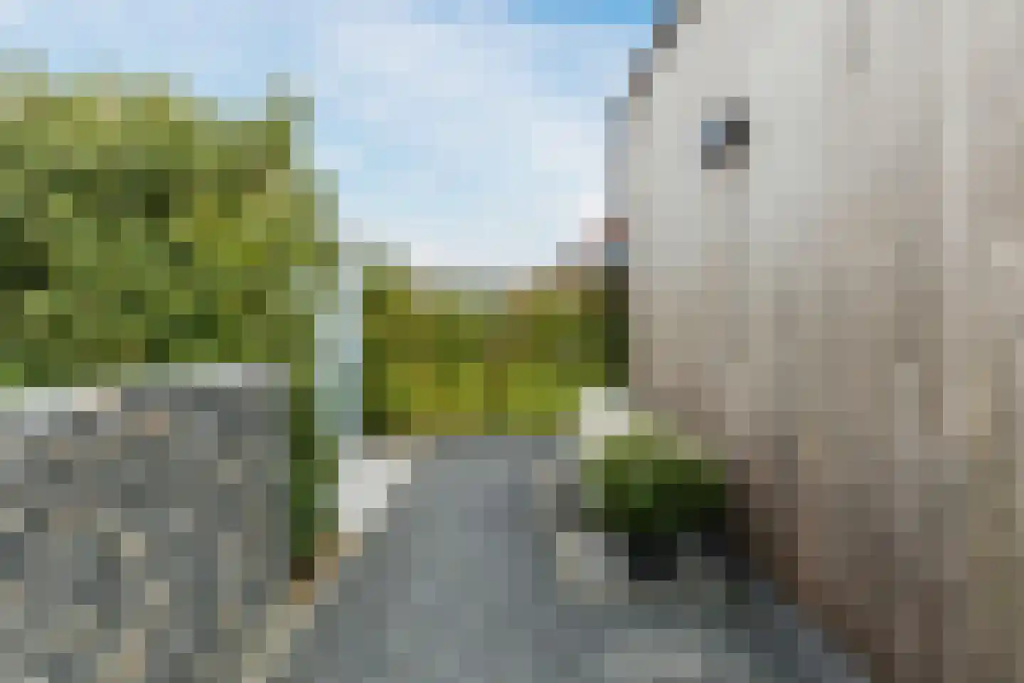Kapelaan Slotsstraat 80 Grubbenvorst thumbnail 64