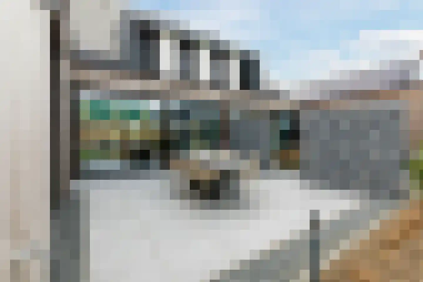 Kapelaan Slotsstraat 80 Grubbenvorst thumbnail 65
