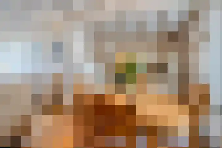 Kapelaan Sourenstraat 13 Swalmen thumbnail 11