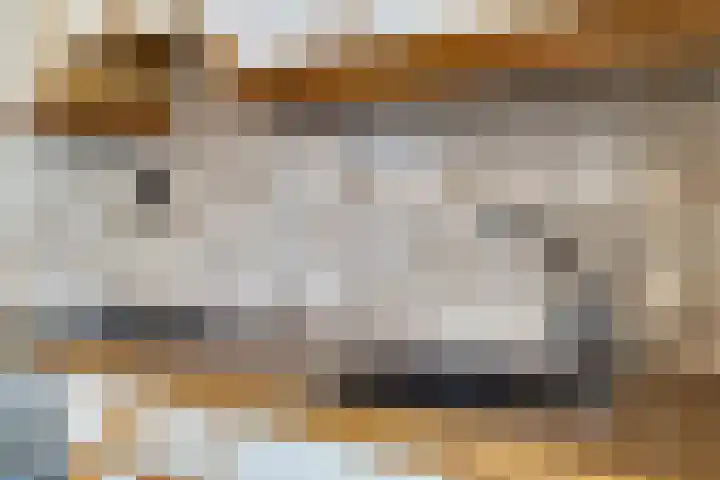 Kapelaan Sourenstraat 13 Swalmen thumbnail 13