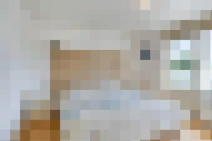 Kapelaan Sourenstraat 13 Swalmen thumbnail 18