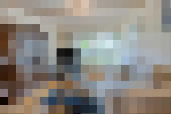 Kapelaan Sourenstraat 13 Swalmen thumbnail 7
