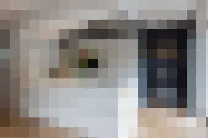 Kapelaan van Lieroplaan 16 Waalre thumbnail 10