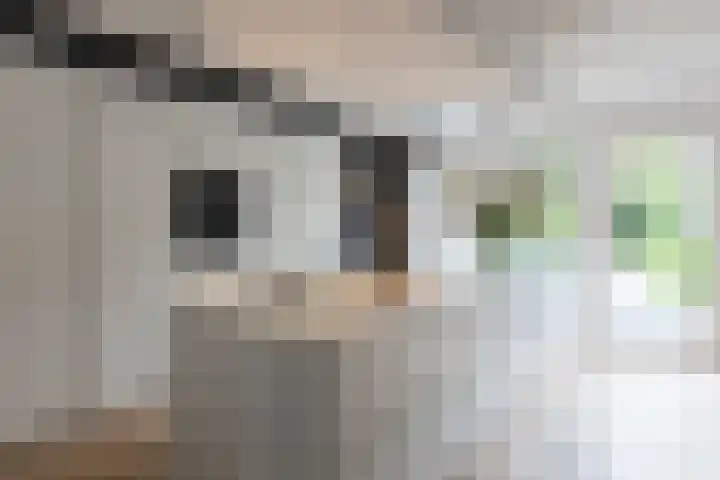 Kapelaan van Lieroplaan 16 Waalre thumbnail 11
