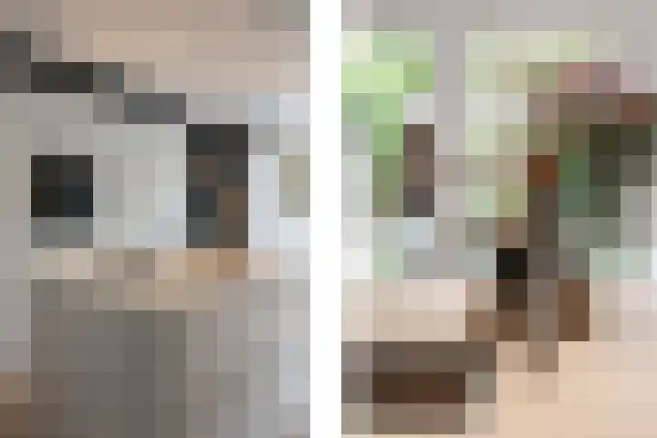 Kapelaan van Lieroplaan 16 Waalre thumbnail 12