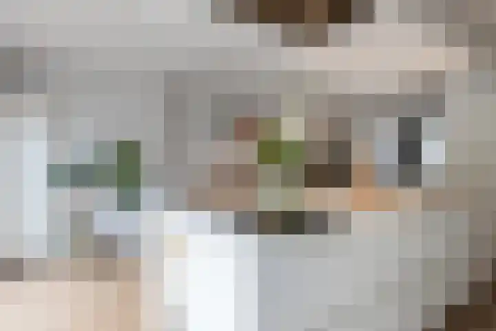 Kapelaan van Lieroplaan 16 Waalre thumbnail 13