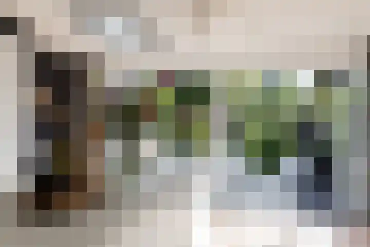 Kapelaan van Lieroplaan 16 Waalre thumbnail 14
