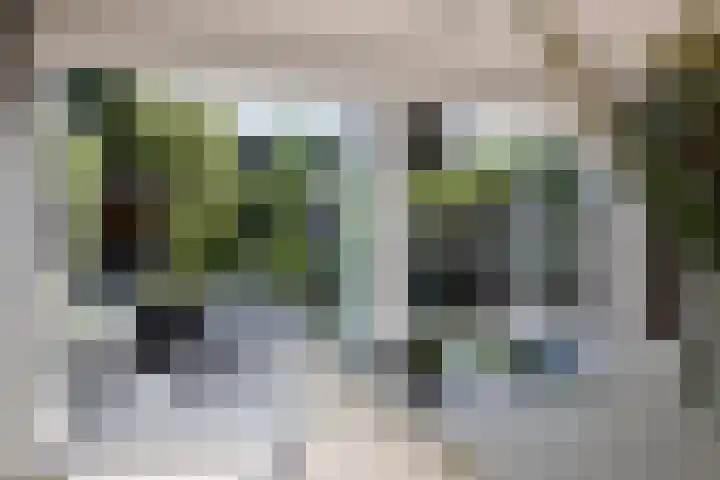 Kapelaan van Lieroplaan 16 Waalre thumbnail 15