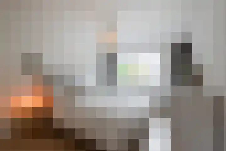 Kapelaan van Lieroplaan 16 Waalre thumbnail 18
