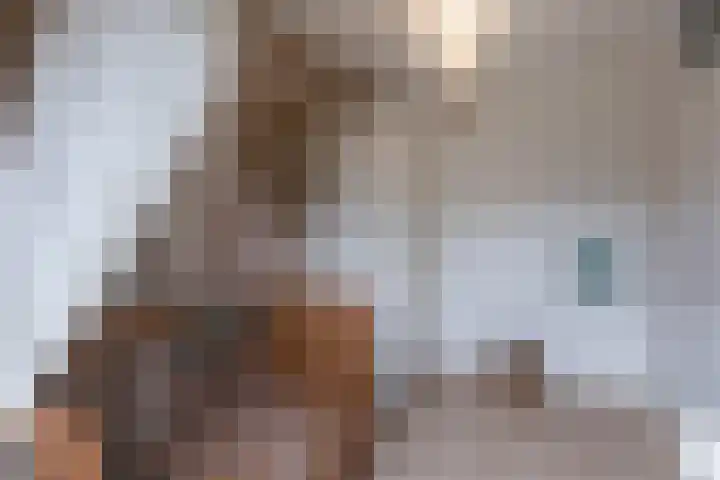 Kapelaan van Lieroplaan 16 Waalre thumbnail 22