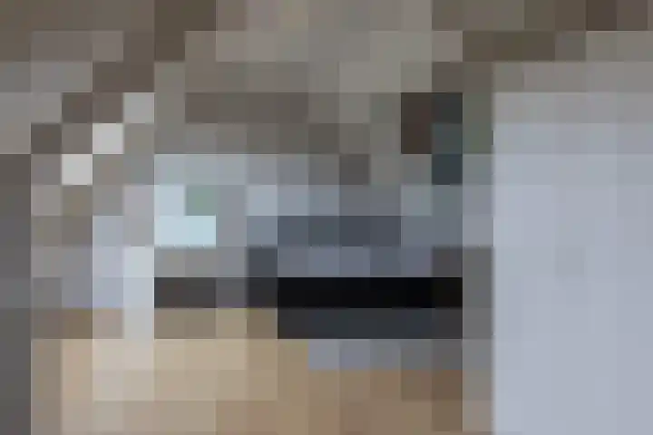 Kapelaan van Lieroplaan 16 Waalre thumbnail 26