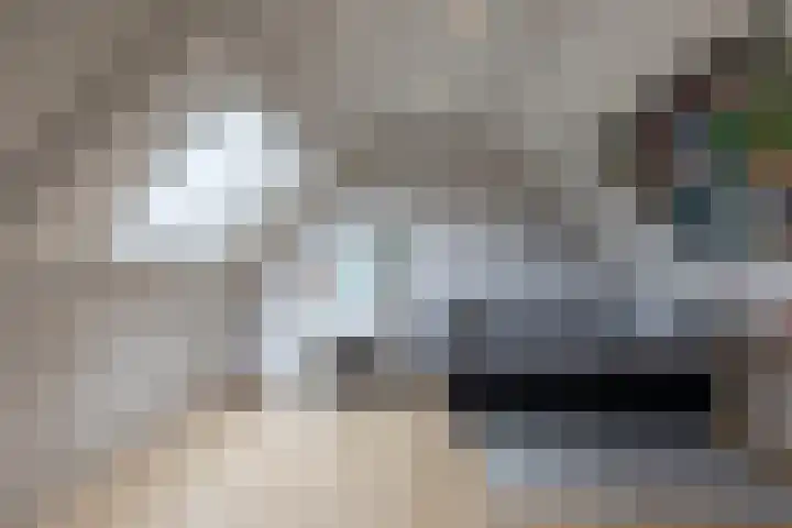 Kapelaan van Lieroplaan 16 Waalre thumbnail 28