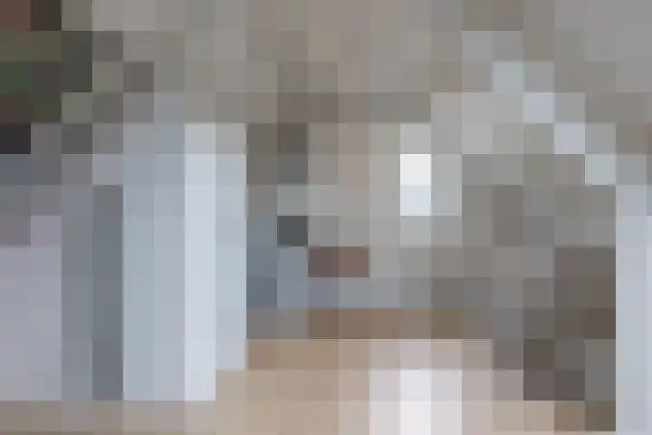 Kapelaan van Lieroplaan 16 Waalre thumbnail 29