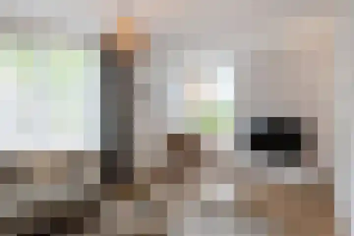 Kapelaan van Lieroplaan 16 Waalre foto 3