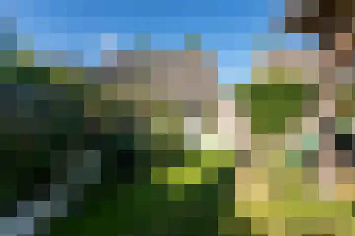 Kapelaan van Lieroplaan 16 Waalre thumbnail 30