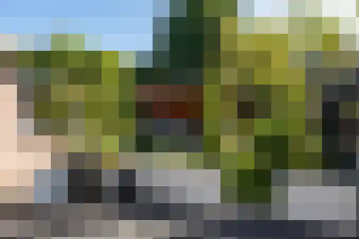 Kapelaan van Lieroplaan 16 Waalre thumbnail 31