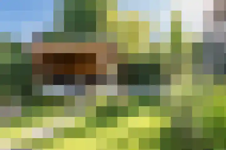 Kapelaan van Lieroplaan 16 Waalre thumbnail 32