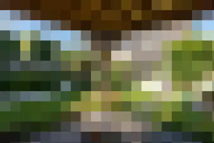 Kapelaan van Lieroplaan 16 Waalre thumbnail 34