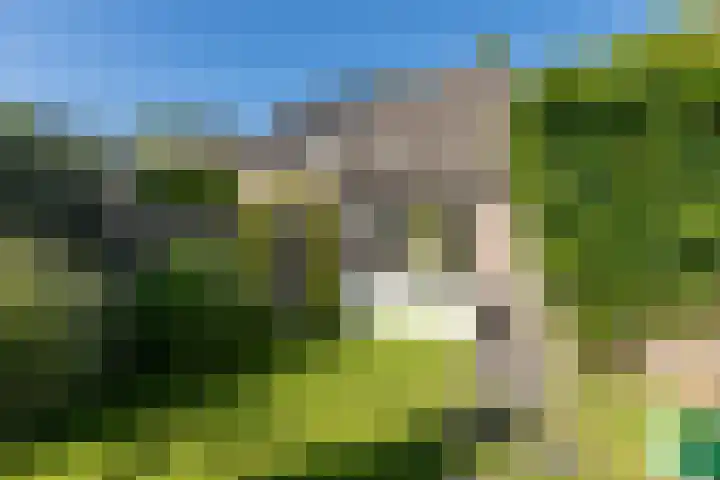 Kapelaan van Lieroplaan 16 Waalre thumbnail 35