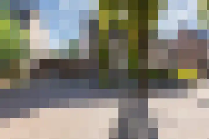 Kapelaan van Lieroplaan 16 Waalre thumbnail 36