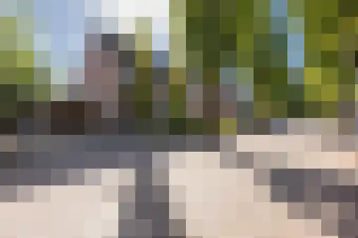 Kapelaan van Lieroplaan 16 Waalre thumbnail 37