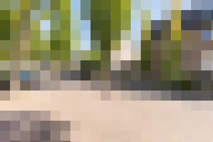 Kapelaan van Lieroplaan 16 Waalre thumbnail 38