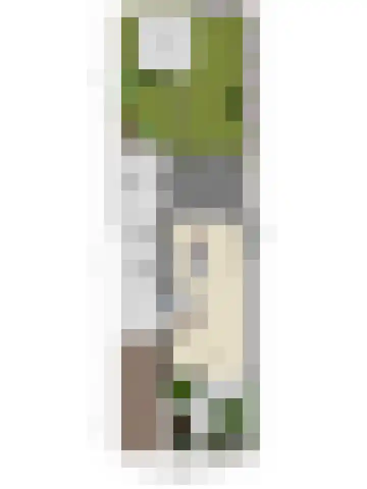 Kapelaan van Lieroplaan 16 Waalre thumbnail 42