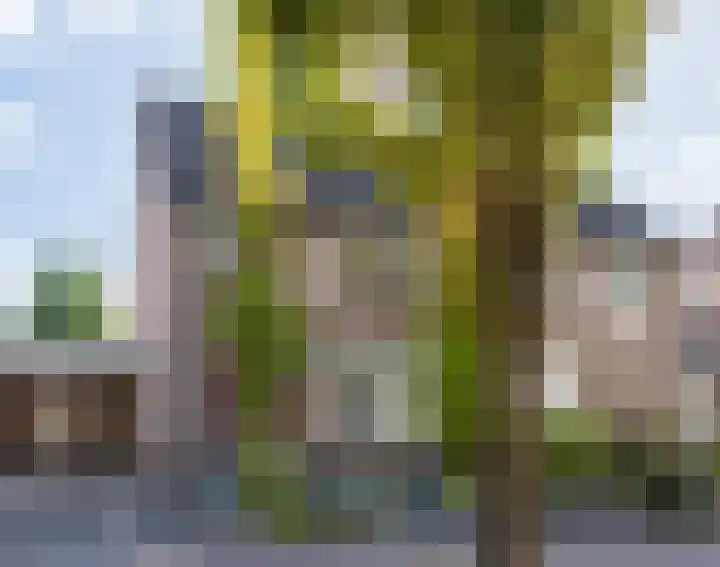 Kapelaan van Lieroplaan 16 Waalre thumbnail 44