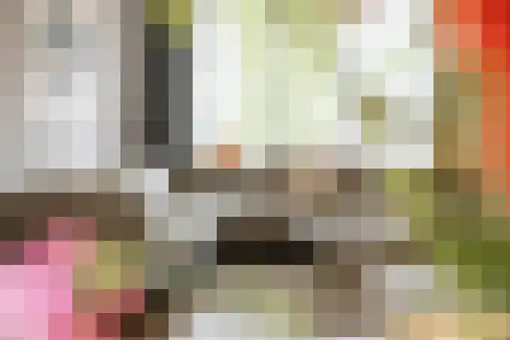 Kapelaan van Lieroplaan 16 Waalre thumbnail 5