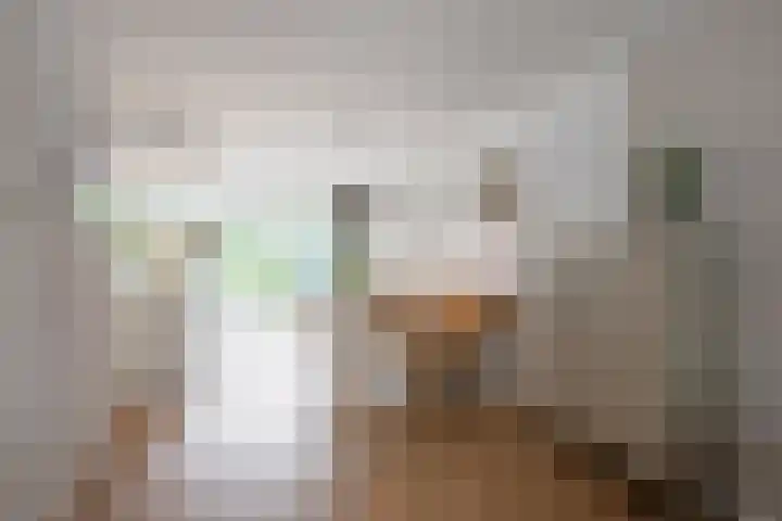 Kapelaan van Lieroplaan 16 Waalre thumbnail 6