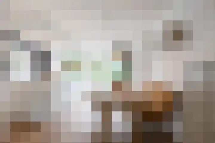 Kapelaan van Lieroplaan 16 Waalre thumbnail 7