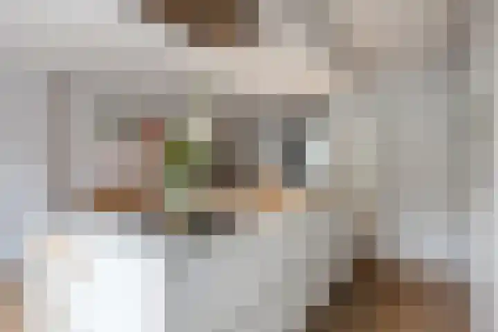 Kapelaan van Lieroplaan 16 Waalre thumbnail 9