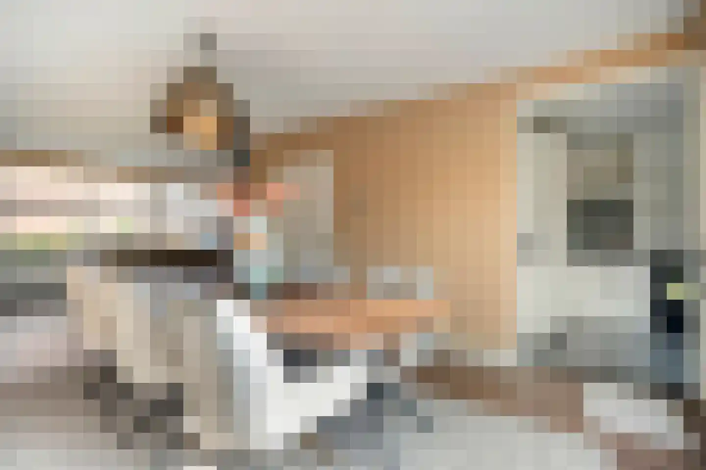 Kapelaan Van Schaikstraat 9 Denekamp thumbnail 10