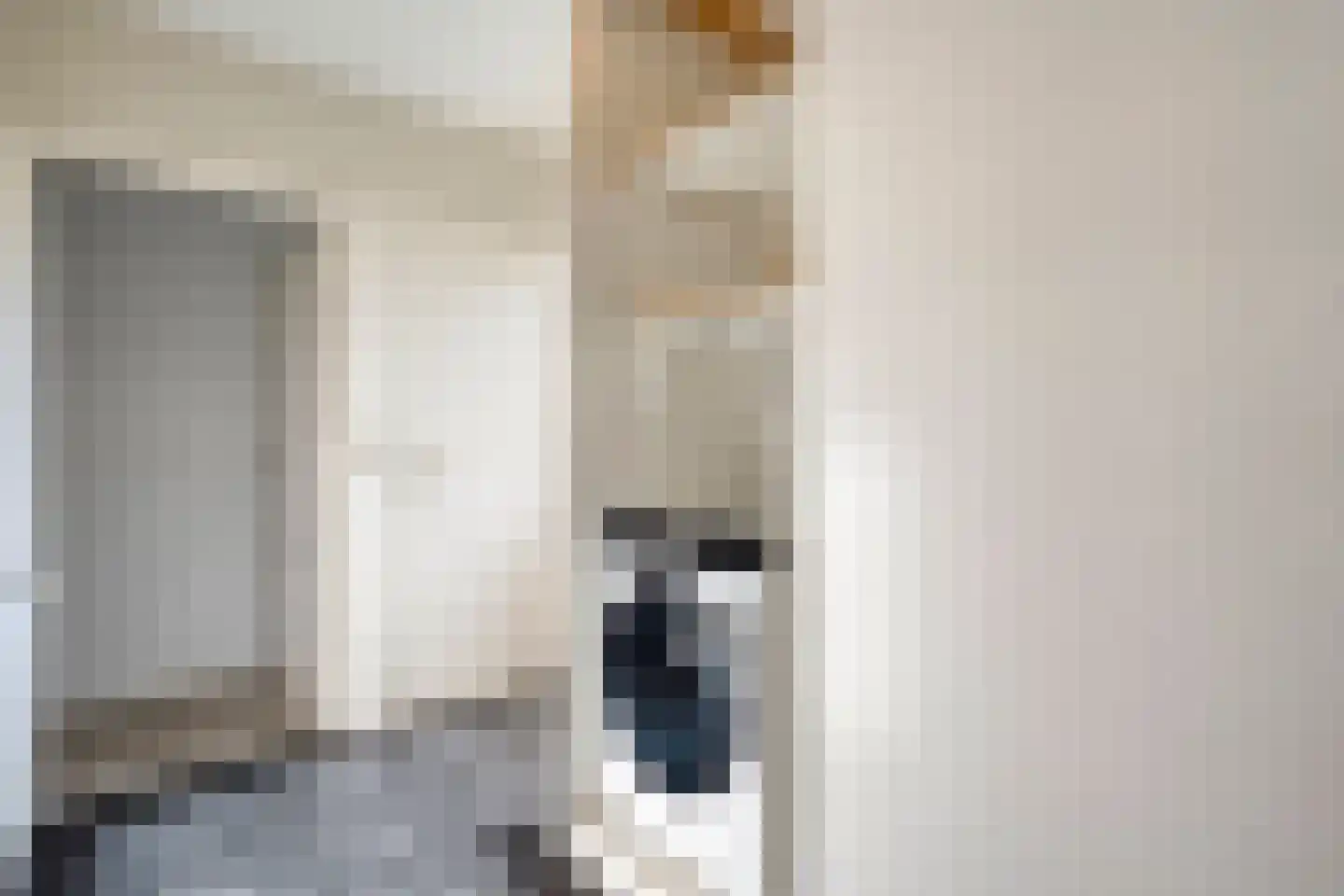 Kapelaan Van Schaikstraat 9 Denekamp thumbnail 11