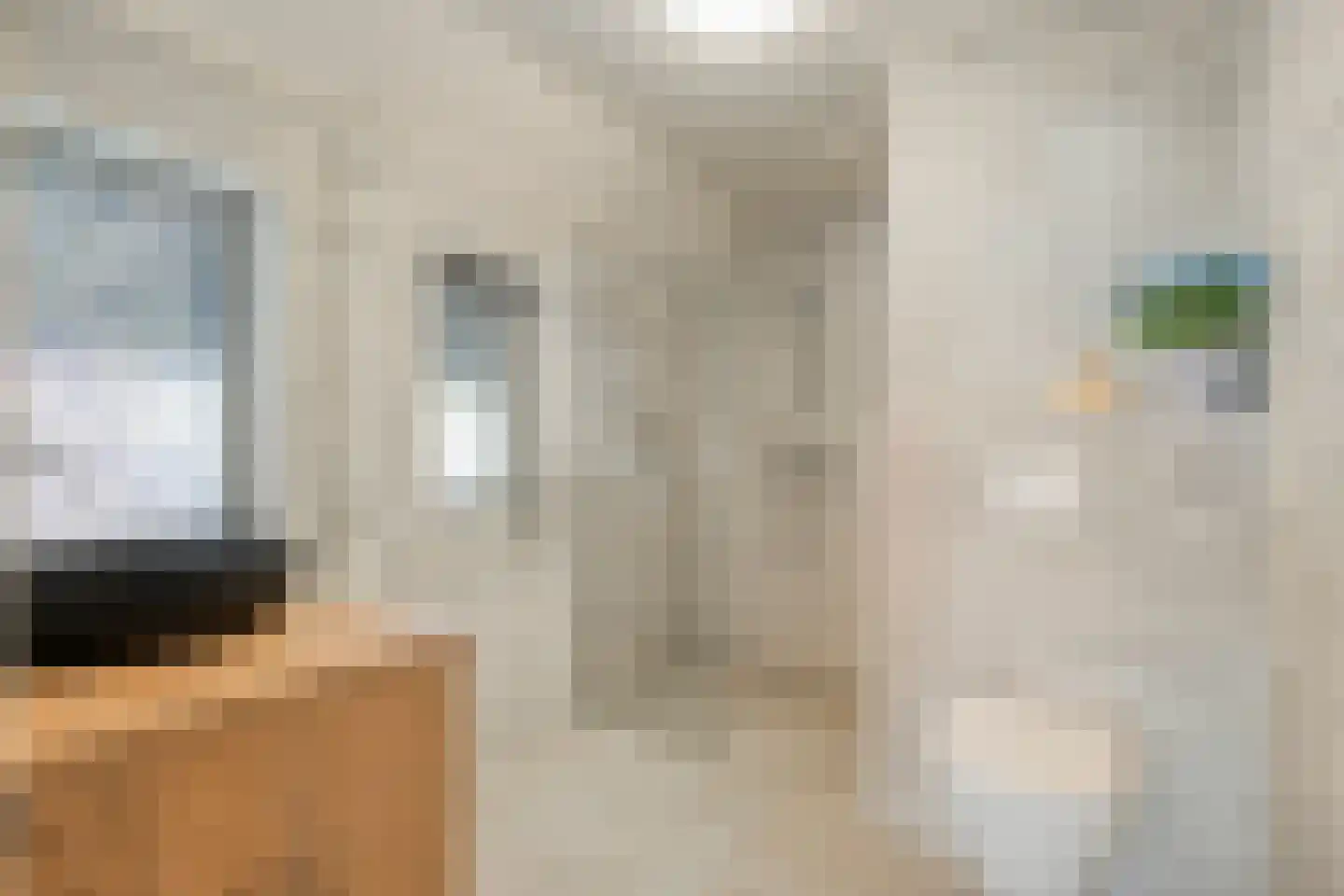 Kapelaan Van Schaikstraat 9 Denekamp thumbnail 14