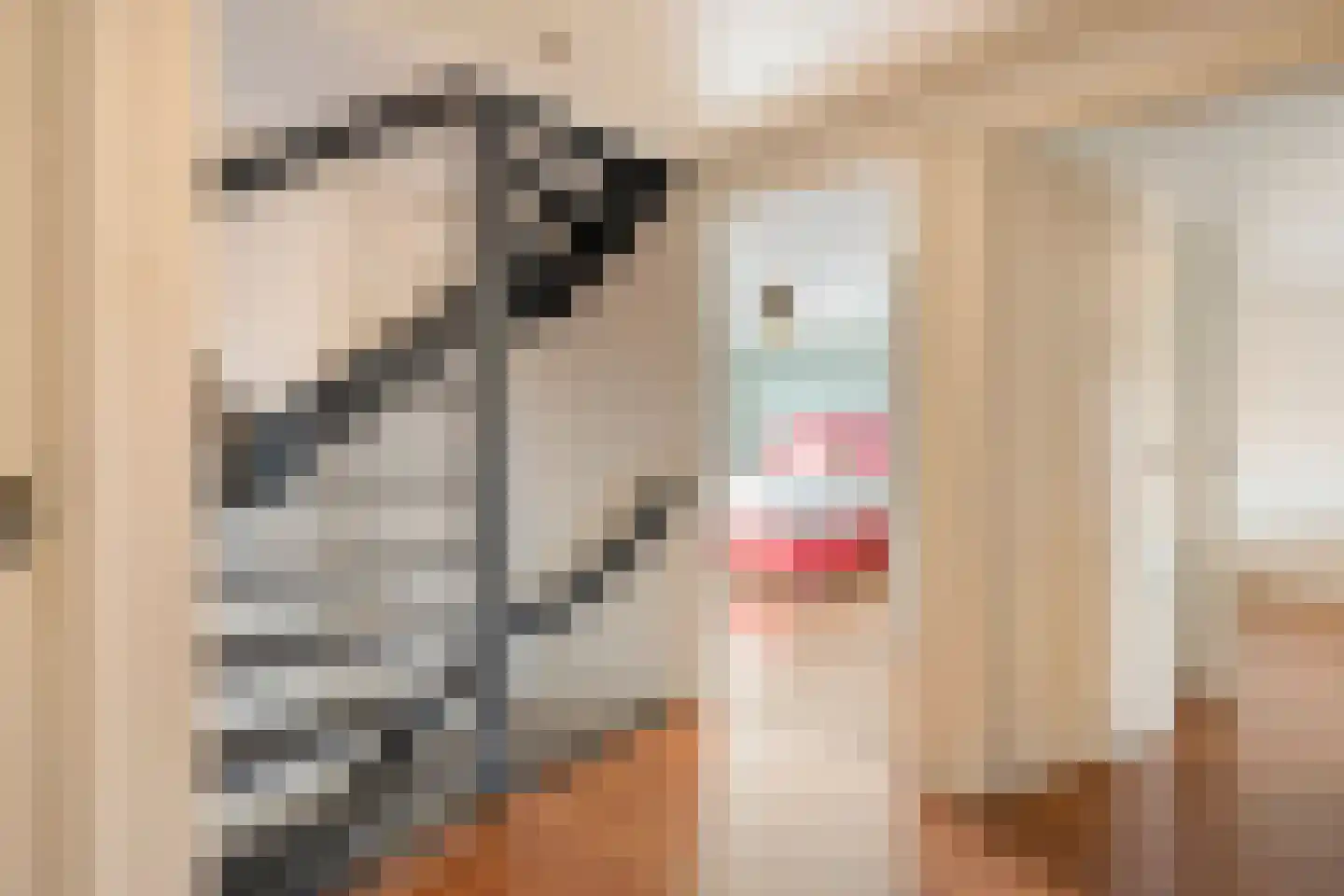 Kapelaan Van Schaikstraat 9 Denekamp thumbnail 16