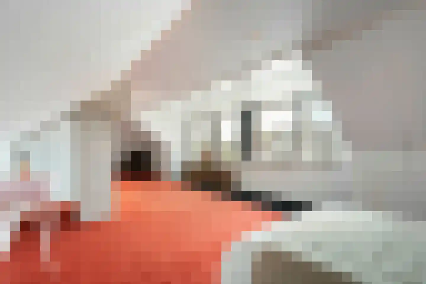 Kapelaan Van Schaikstraat 9 Denekamp thumbnail 20