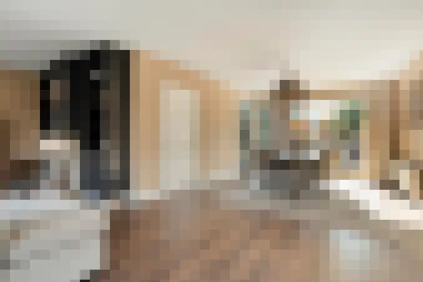 Kapelaan Van Schaikstraat 9 Denekamp thumbnail 9