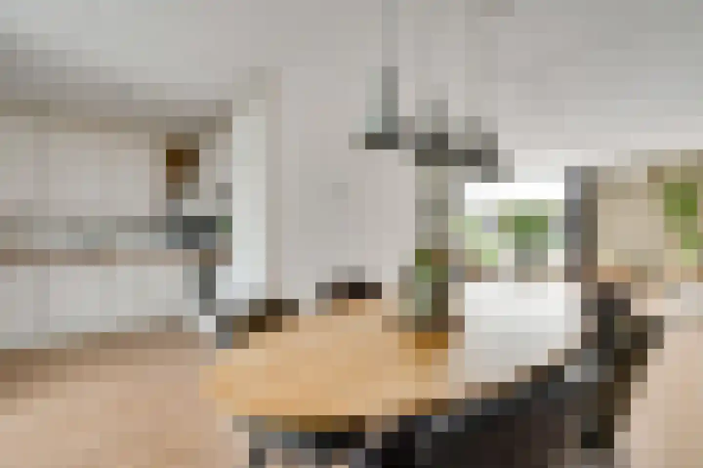 Kapelaan Wijnensingel 40 Beek thumbnail 10