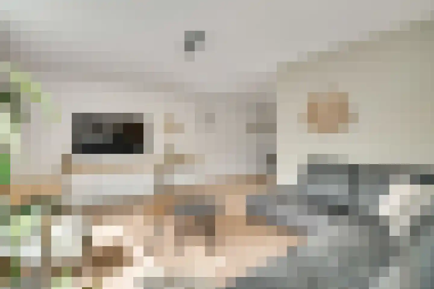 Kapelaan Wijnensingel 40 Beek thumbnail 9