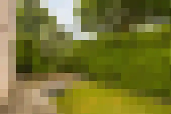 Kapelaan Wijnensingel 79 Beek thumbnail 33