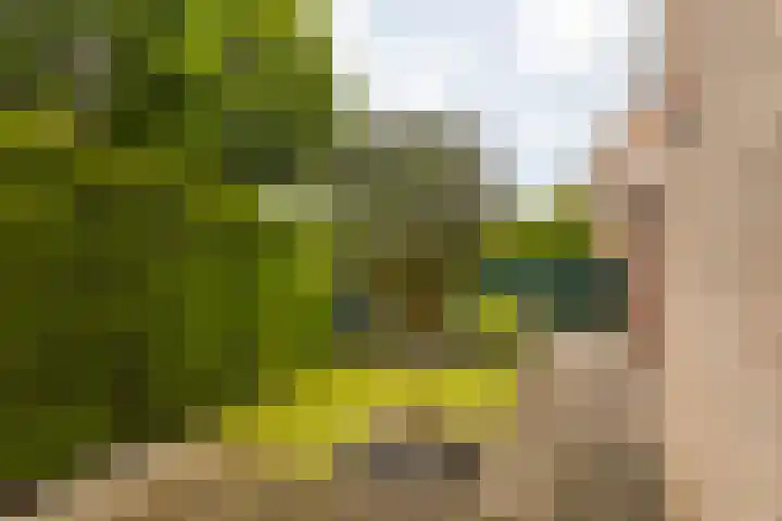 Kapelaan Wijnensingel 79 Beek thumbnail 34