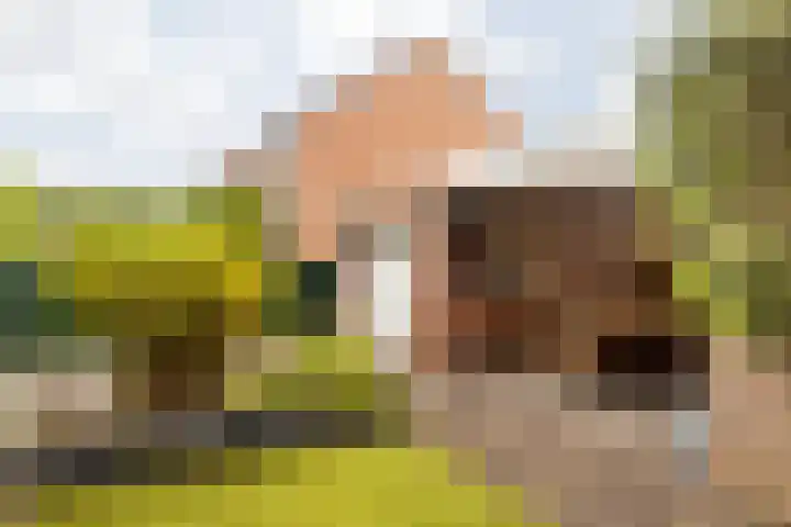 Kapelaan Wijnensingel 79 Beek thumbnail 35