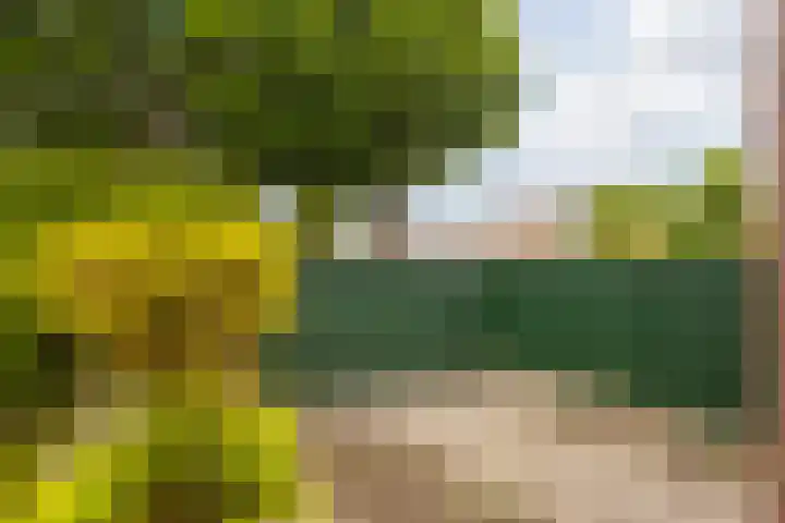 Kapelaan Wijnensingel 79 Beek thumbnail 37